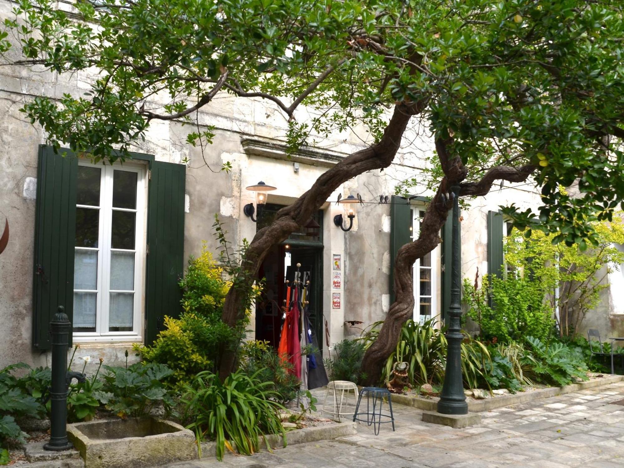 Le Mole Bed & Breakfast La Flotte Exterior photo